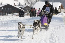Lenk 2012 SM